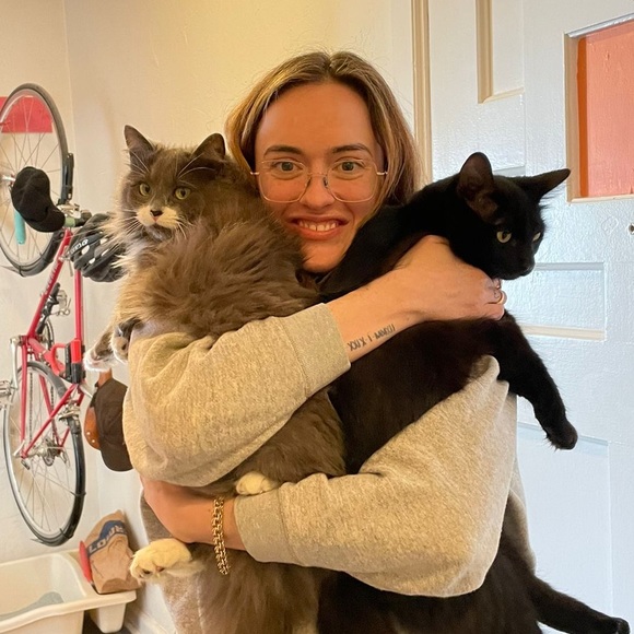 Meet your Posher, Justis - Picture 2 of 2